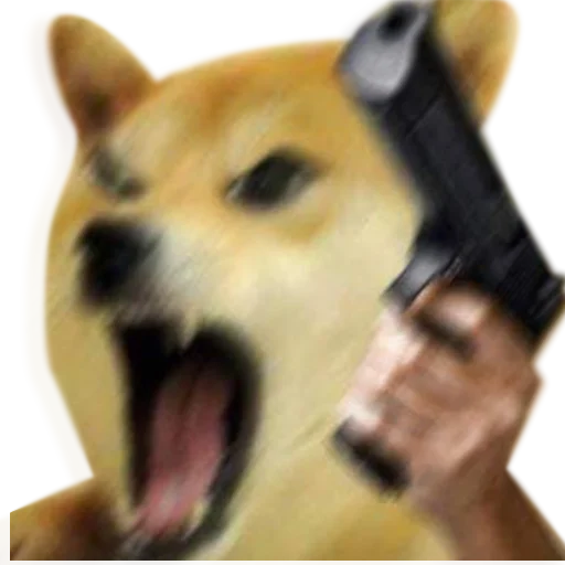 :doge_gun: