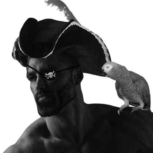 :gigachad_pirate: