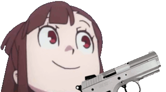 :akko_gun: